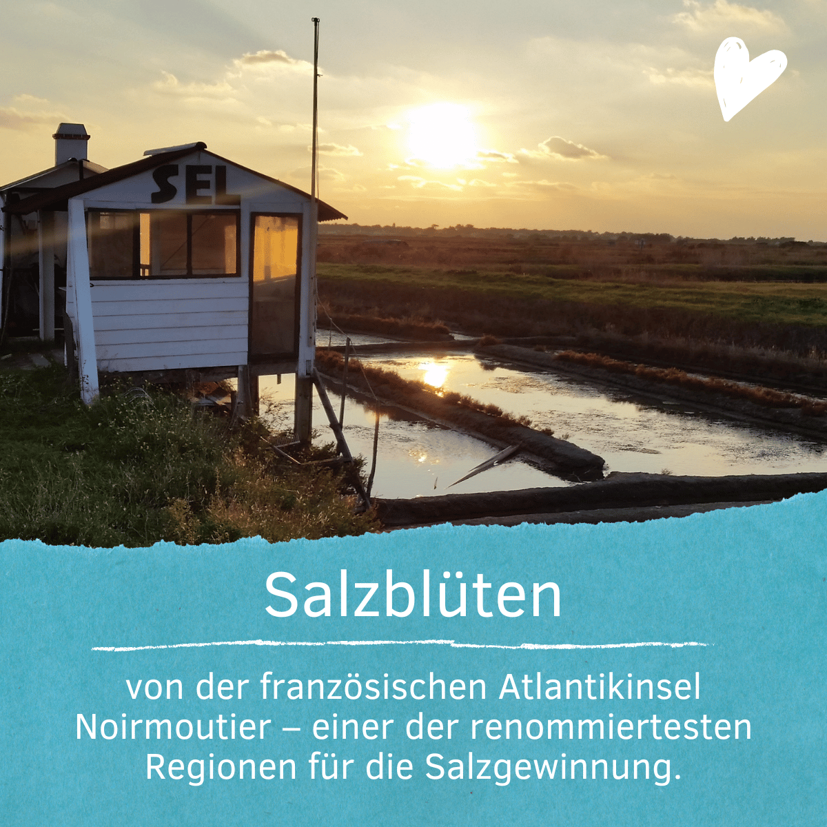 Fleur de Sel Noirmoutier - Vorteilspack 2x250g