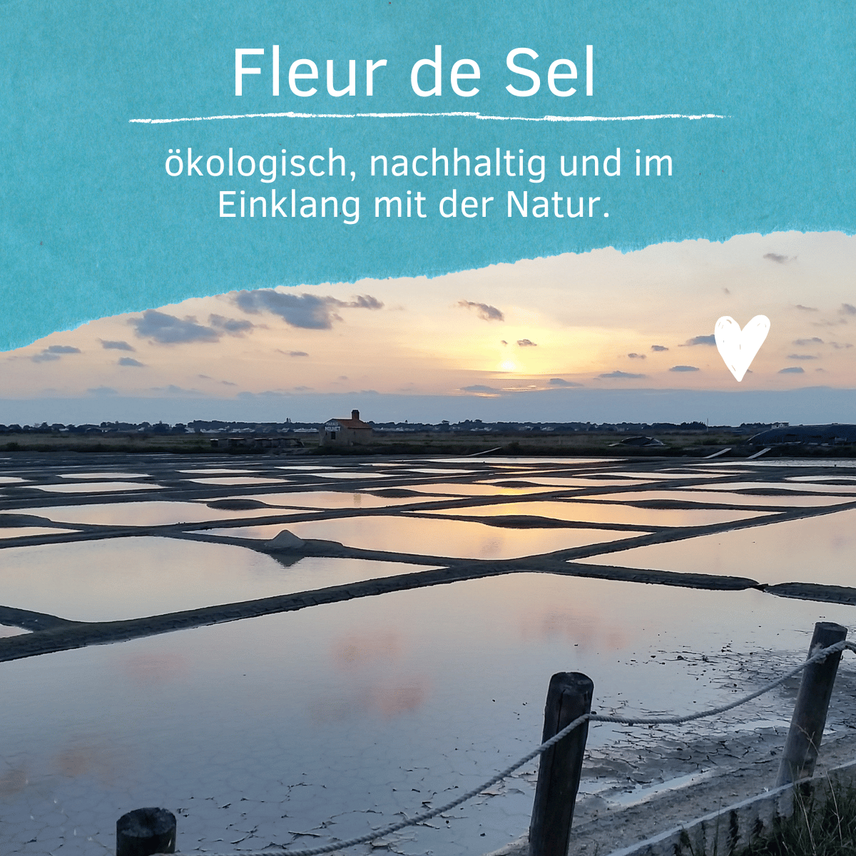 Fleur de Sel Noirmoutier - Vorteilspack 2x250g